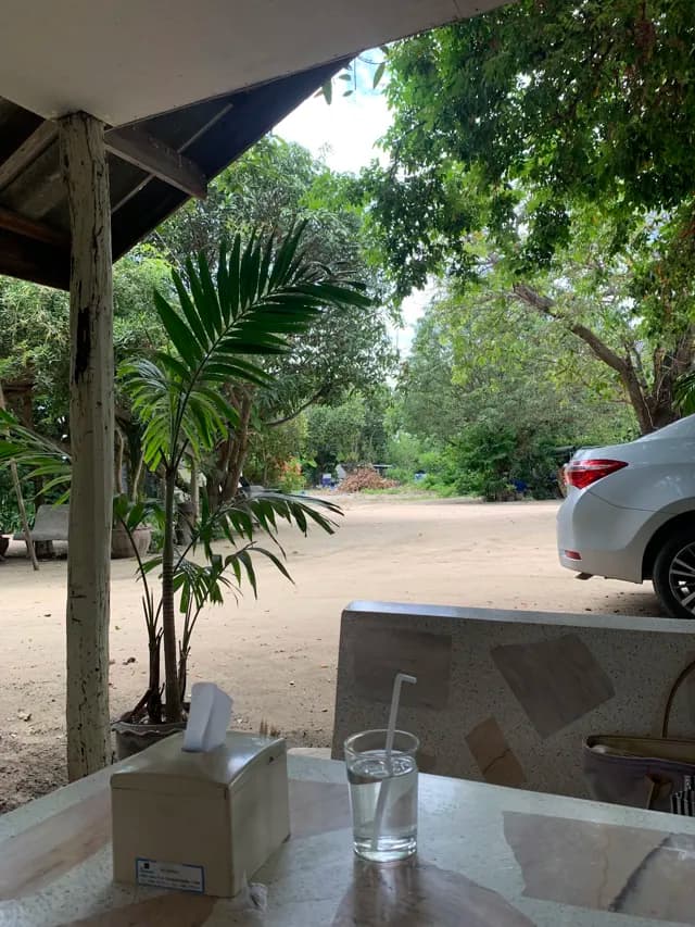 ร้านอาหารร่มไม้