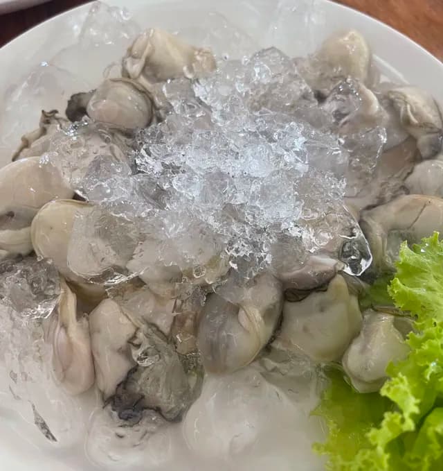 ป้าอ้วน หอยนางรมสด