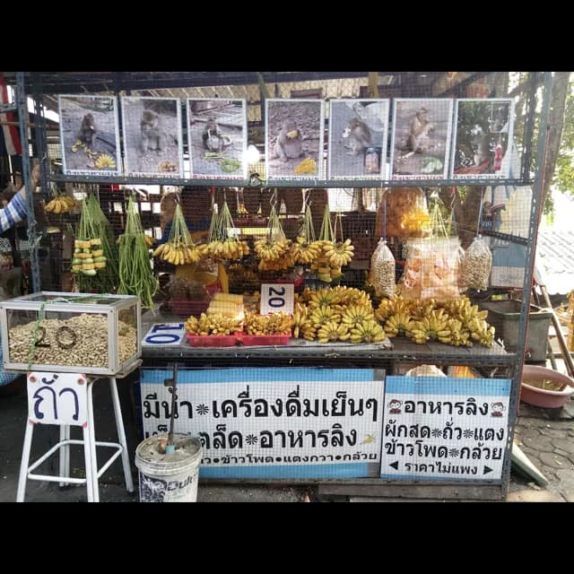 เขาสามมุขอาหารลิง