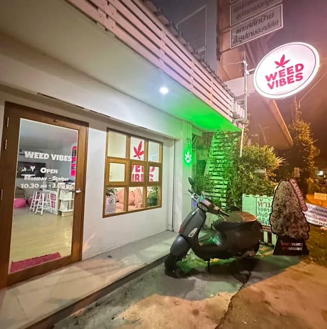 WEED VIBES • Cannabis • กัญชาบางแสน
