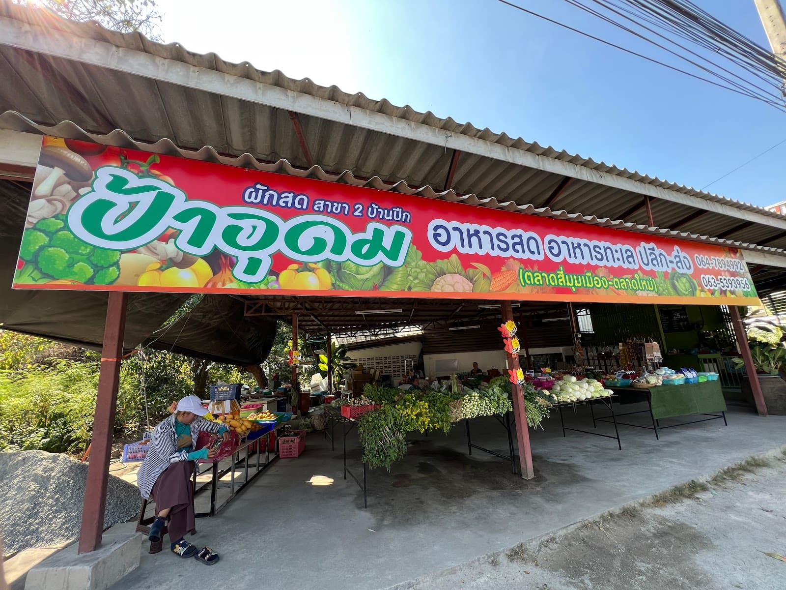 ชาพะยอมมิตรสัมพันธ์