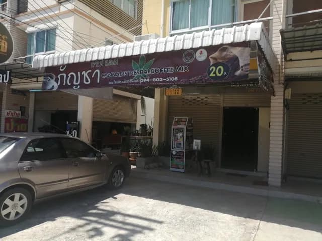 กาแฟกัญชา บางแสน