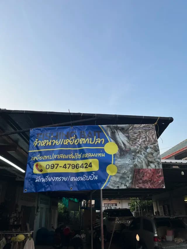 เหยื่อตกปลาสดแช่ฟรีซ แหลมแท่น