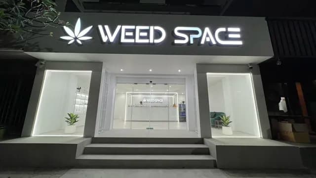 Weed Space | Cannabis | กัญชาบางแสน