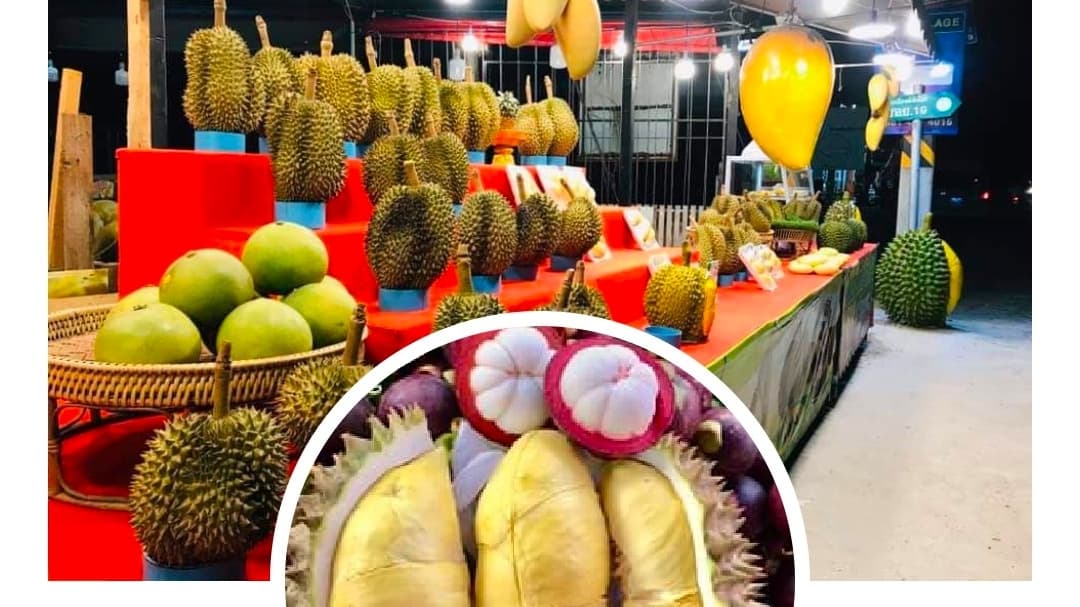 ร้านทุเรียน ราชาหมอนทอง