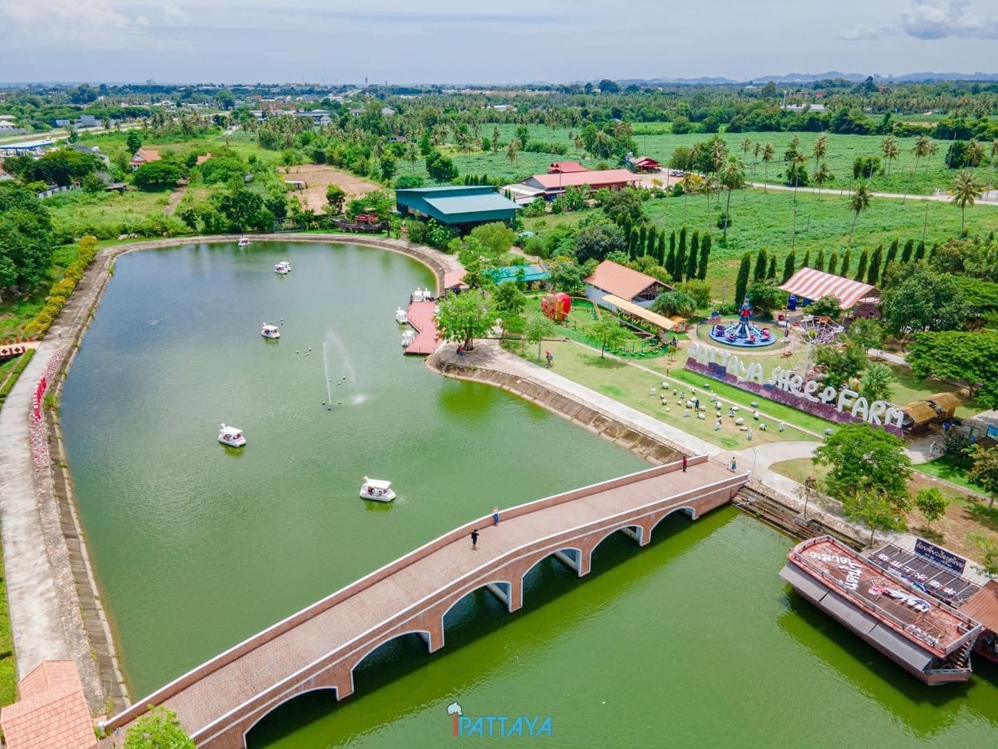 Pattaya Sheep Farm